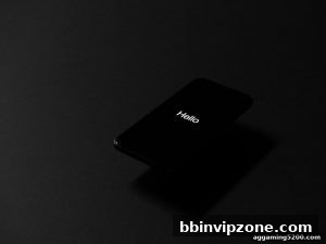 AG真人 bbinvipzone