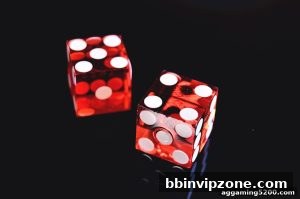 AG真人 bbinvipzone